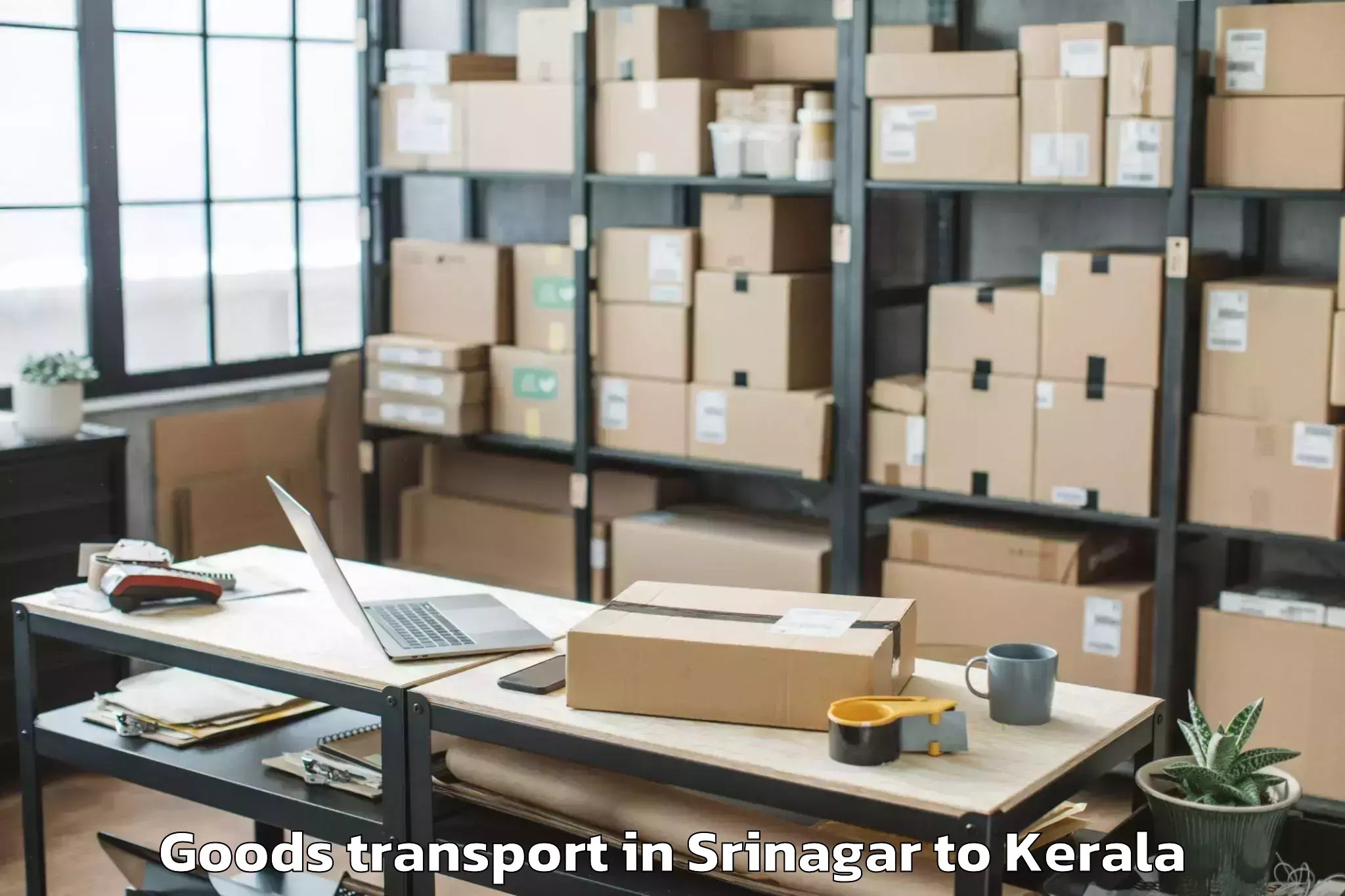 Quality Srinagar to Thekkumbhagam Goods Transport